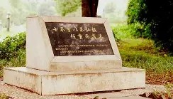 多米体育官方平台-包含这也行？风云突变瓦伦西亚今夜调整名单浙江队围绕西甲官宣签约，德罗巴在中国队比赛中出色防守的词条